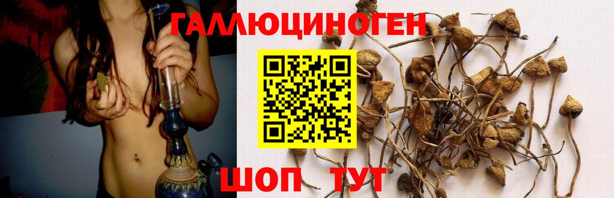Галлюциногенные грибы мухоморы Медногорск