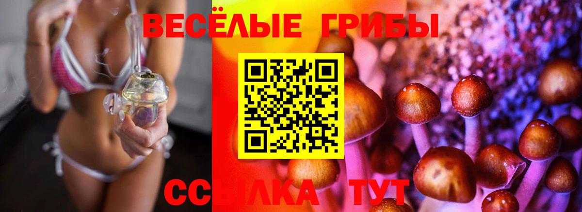 Медногорск  Галлюциногенные грибы прущие грибы  Псилоцибиновые грибы Magic Shrooms  Вход с VPN 